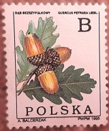 Stary znaczek pocztowy Polska 1995 dąb żołędzie stan bdb