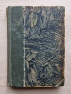 Antoni Słonimski, Heretyk na ambonie (1934)