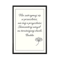 Plakat 40x50 cytat BUDDA P10P-1562