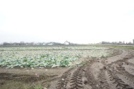 Działka, Sośnica, Radymno, Jarosławski, 3240 m²