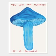 Plakat „Playful Pop Art” – Kolorowe Retro Illustrations