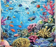 # POSZEWKA - POLIESTER / JEDWAB - 45 X 45 cm - D3