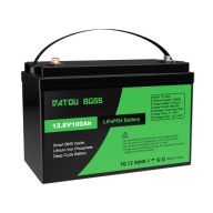 Bateria Akumulator LiFePo4 12,8V 100Ah GREEN DatouBoss 12v. 5 lat gwarancji