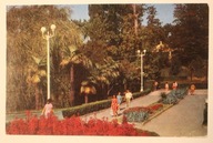 SOCZI - Sochi. Primorsky Park, ROSJA, ZSRR - ZWIĄZEK RADZIECKI, 1977 rok