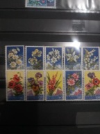 San Marino seria flora