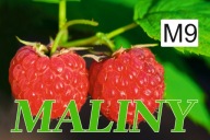 BANER PLANDEKA SPRZEDAŻ MALIN 100x50 M9