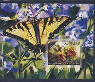 Fauna flora **bl motyle