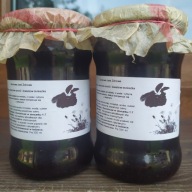 SYROP Z KWIATÓW MNISZKA I OWOCÓW ARONII 515 ML DOMOWY ZGODNY Z NATURĄ