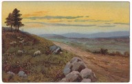 Wieś owce droga zachód słońca 1905r. LITOGRAFIA