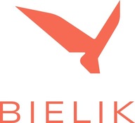 Konsultacje AI zespołu trenującego Bielika