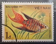 Ryby (kas) - luzak - do uzupełnień 13/2