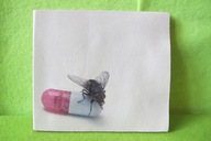 CD I'm With You Red Hot Chili Peppers