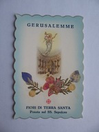 ZASUSZONE KWIATY Z ZIEMI ŚWIĘTEJ BISKUP ABLEWICZ ŚW. OBRAZEK-RELIKWIA 1966