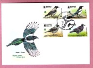 Białoruś 2024 FDC 4zn. ptaki, sroka, kawka, wrona, gawron