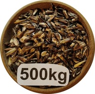 Owies Czarny Gnieciony, Płatki z Owsa Czarnego 500kg, 2025r