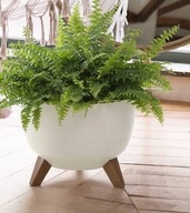 Doniczka Misa Roma na nóżkach Lamela 290 CZARNA DOM I OGRÓD nóżki drewniane