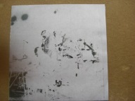 Laboratorium – Aquarium Live No. 1 (no cover)