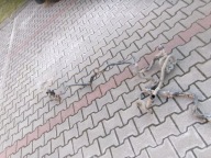 RURKI WEZE WODY POD AUTEM SCUDO EXPERT JUMPY ORGINAL 2006-2014rok