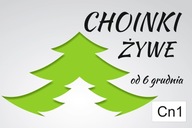 BANER PLANDEKA SPRZEDAŻ CHOINEK CHOINKA 120X80
