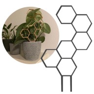 Podpórka do kwiatów plaster miodu. Obejma do roślin łodyg 30 cm