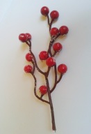 Gałązka głogu obsypana śniegiem