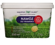 NAWÓZ DO TRAWNIKA TRAWY 5KG 250M2 NPK 20-8-10 MAGNEZ SIARKA GRANULAT ROCZNY