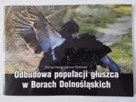 BORY DOLNOŚLĄSKIE - MAP/INFO - TEN PRZEDMIOT - LASY