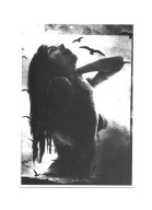 Pocztówka - Dziewczęcy akt z ptakami / Climax I