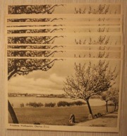 ŻNIN Krajobraz Wielkopolski, CZYSTE, STARE Okolica Żnina, RZADKOŚĆ 15 SZTUK