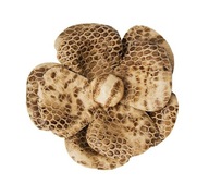 Nakrapiana cętkami, skórzana spinka Emi Jay z USA