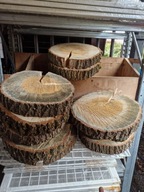 PLASTER plastry DEBU DĄB BRZOZY BRZOZA ŁÓDŹ PODSTAWKA stopien chodnik