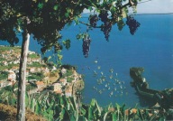 MADERA - CAMARA DE LOBOS