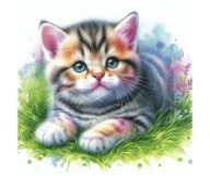 Panel z nadrukiem wodoodporny na torbę 45/45cm oxford kot kociak