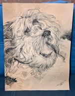 DUŻA GRAFIKA PYSK PSA