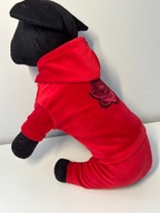 UBRANKO dres kombinezon welurowy dla psa typu york S