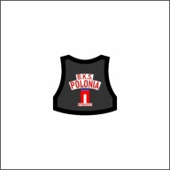 Polonia Bydgoszcz - plastron żużlowy