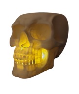 CZASZKA STOJAK NA DŁUGOPISY ORGANIZER LAMPKA LED 3D