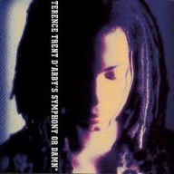 TERENCE TRENT D'ARBY symphony or damn CD 1993