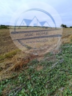 Działka, Czarne Dolne, Gardeja, Kwidzyński, 1467 m²