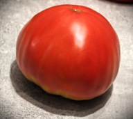 Pomidor Klara (91) nasiona kolekcjonerskie