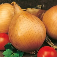 Nasiona cebuli Premium Seeds Ailsa Craig 2g