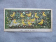 MARIA MACKIEWICZ WESOŁYCH ŚWIĄT KURKI PISKLAKI NA ŁĄCE Lata 60/70 POCZTÓWKA