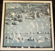 Hans Koch / Martin Schütz / Marco Käppeli