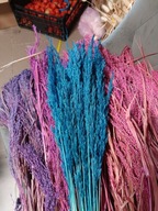 Trawa leśna naturalna kłosy susz krajowy kolory granatowa niebieski do palm