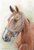 Koń kasztanek - akwarela + pastel z passe - partout