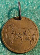 MEDAL ZWIĄZEK KYNOLOGICZNY W POLSCE - WYSTAWA PSÓW KALISZ