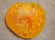 Pomidor Lipa Żółta/ Липа Желтая (433) nasiona kolekcjonerskie