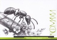 Pocztówka Ukraina 2024 "Owady Ukrainy" Podziemnica zwyczajna Lasius flavus