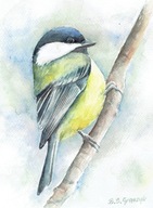 Ptak , ptaki , mazurek- akwarela z passe - partout