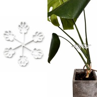 Podpora do roślin kwiatów doniczkowych podpórka chwytak biała 10cm–PLA 1szt